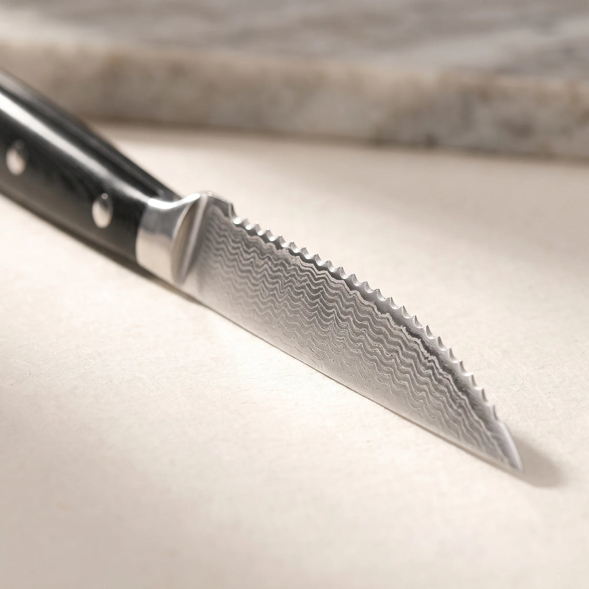 6-Piece Steak Knife Set – Hochodo, blade and material detail